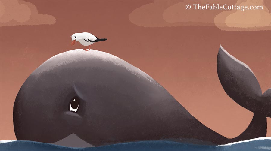 Illustration of the bird and the whale