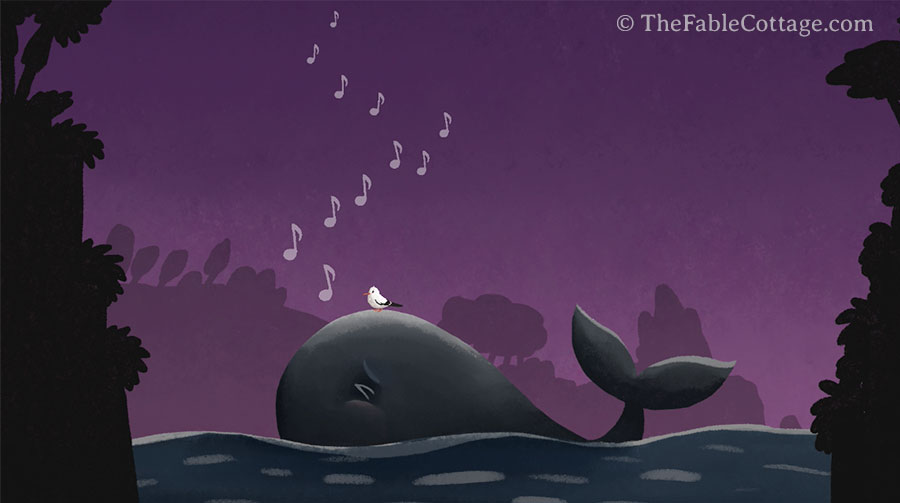 Illustration of the whale singing to the bird