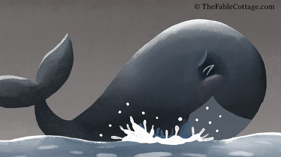Illustration of the whale splashing