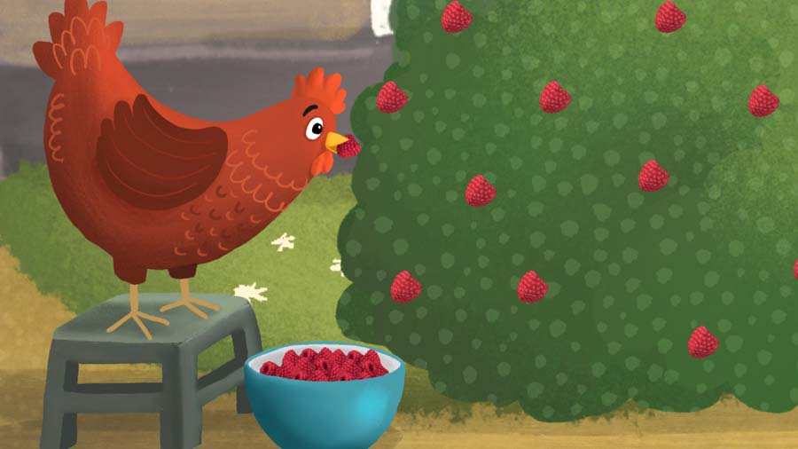 the hen picking raspberries off the bush and putting them in a bowl